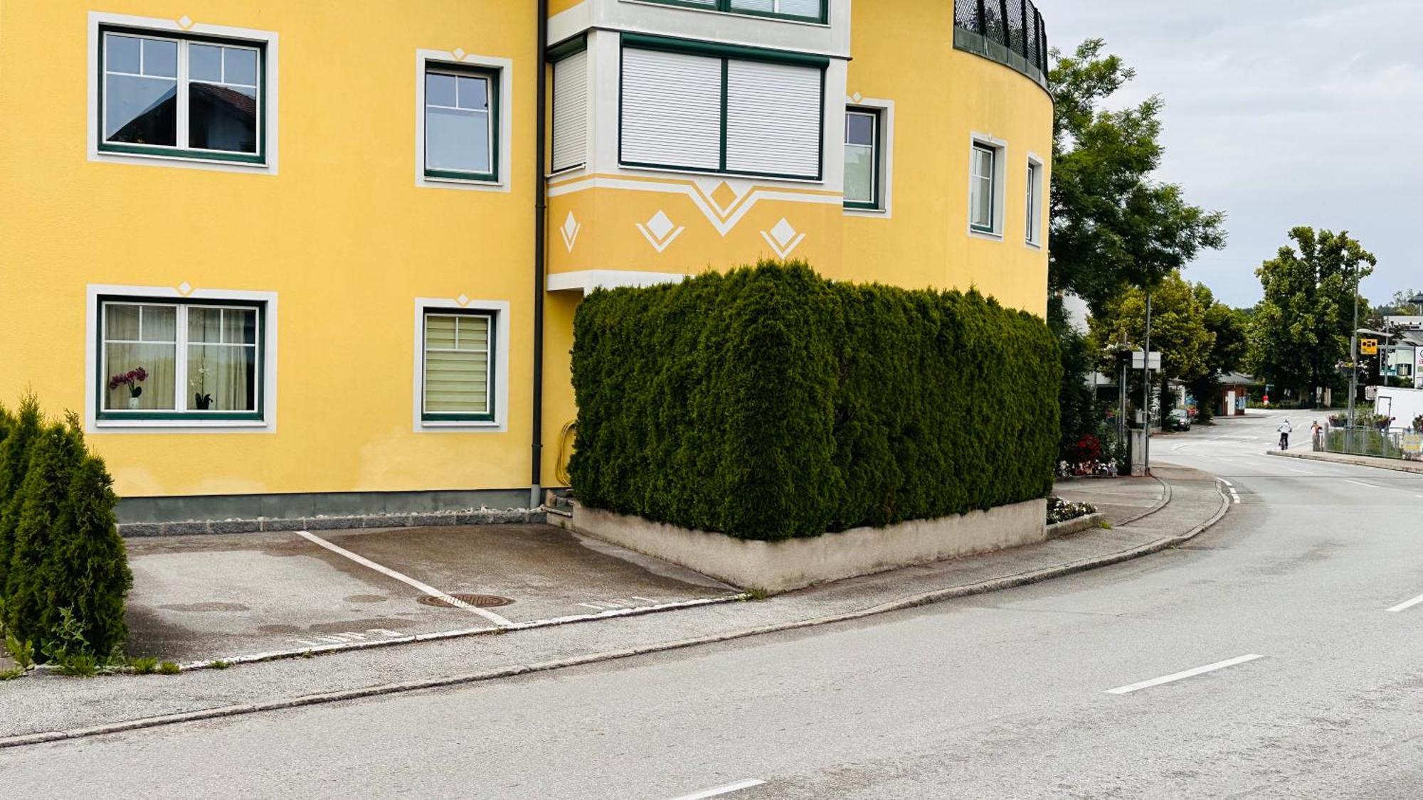 Naturparadies Salzburg-Land Seekirchen am Wallersee Exterior photo